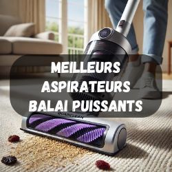 Meilleurs aspirateurs-balais puissants
