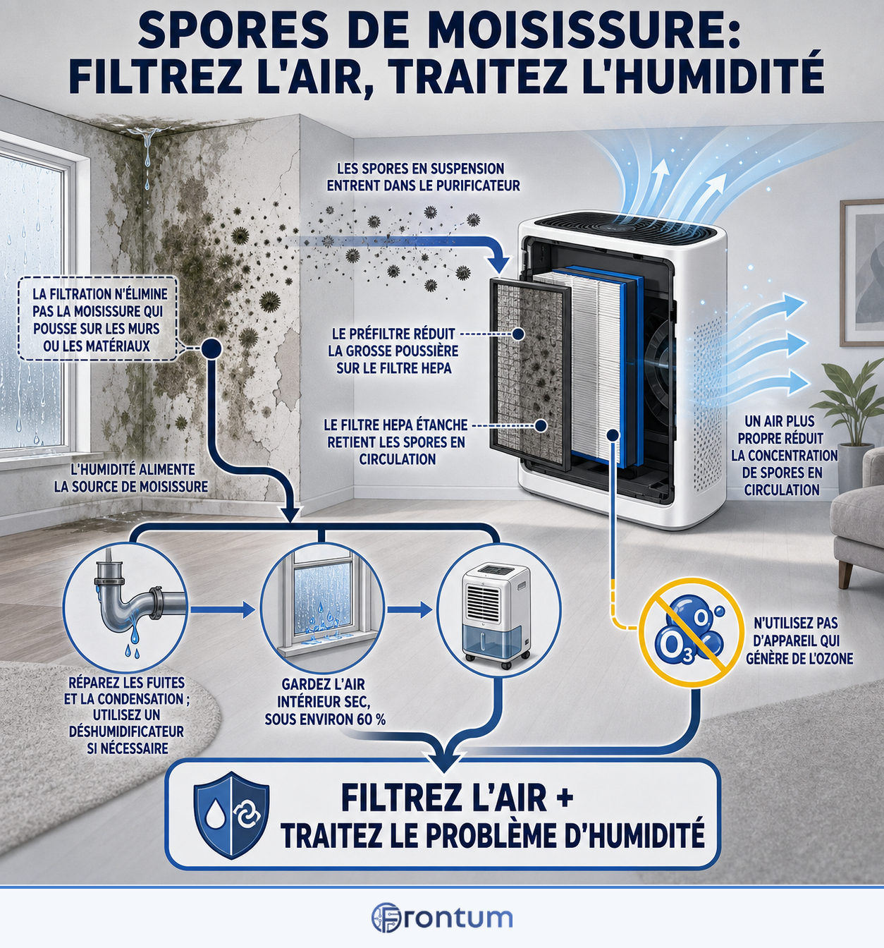spores-de-moisissure-filtrez-lair-traitez-lhumidite-infographic-fr